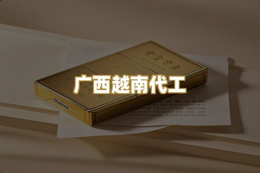 广西越南代工